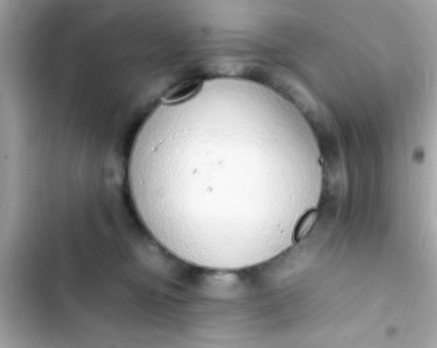 X0000103330374200809192210