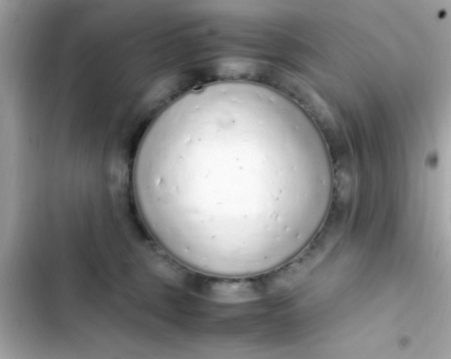 X0000103330375200809192210