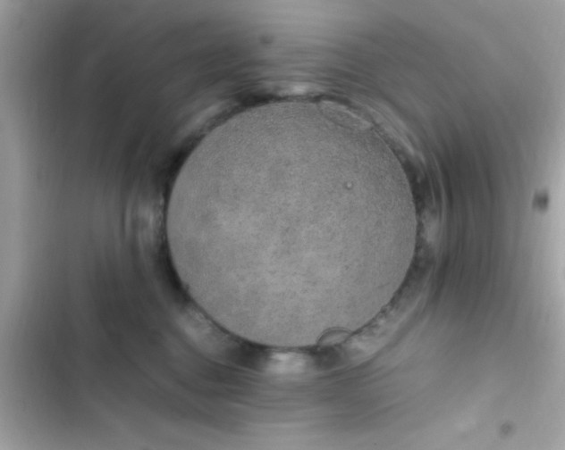 X0000103330376200809192210