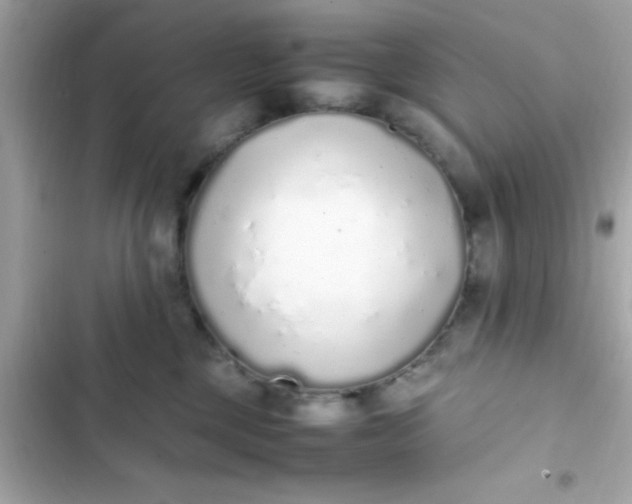 X0000103330377200809192210