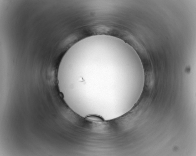 X0000103330378200809192210