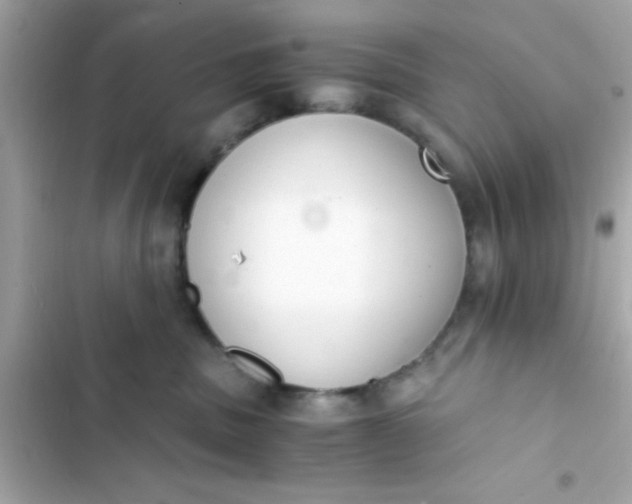 X0000103330379200809192210