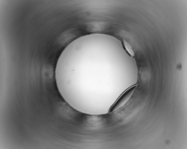 X0000103330380200809192210