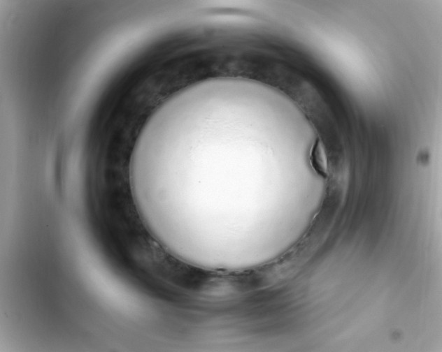 X0000103330381200809192210