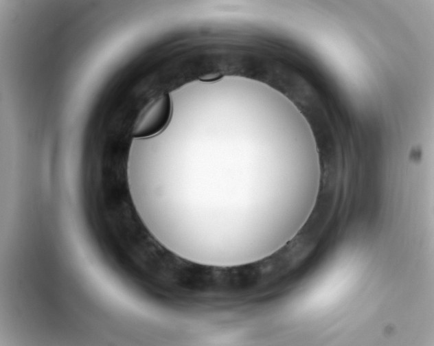 X0000103330383200809192210