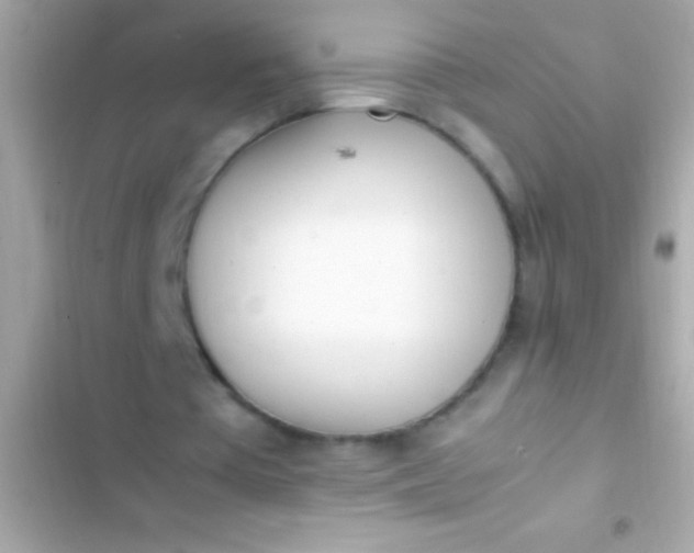 X0000103330385200809192210