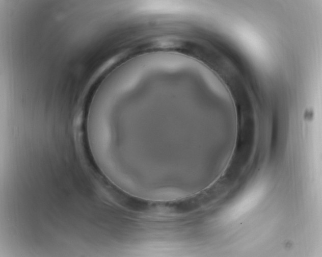 X0000103330387200809192210