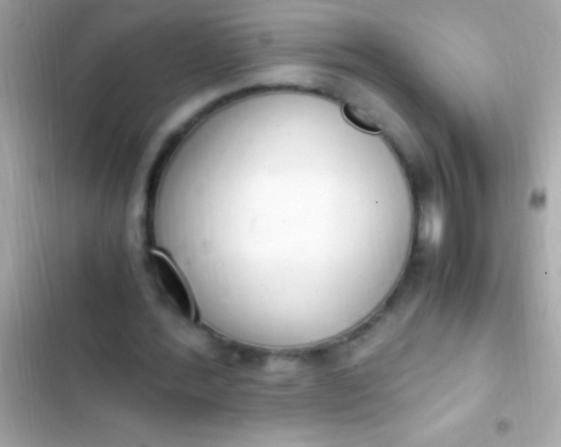 X0000103330388200809192210