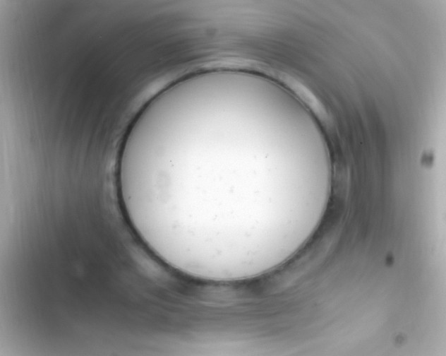 X0000103330389200809192210