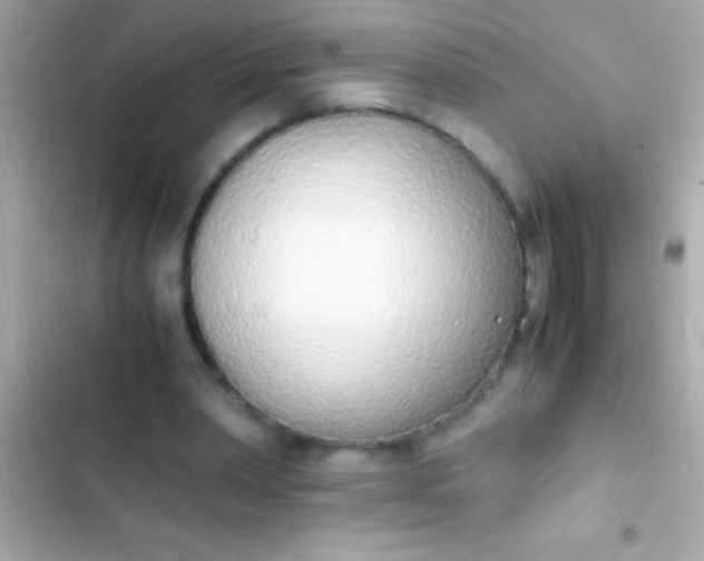 X0000103330390200809192210