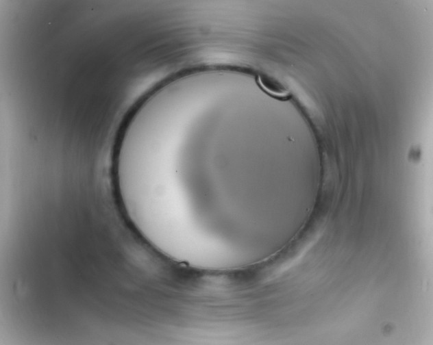 X0000103330391200809192210