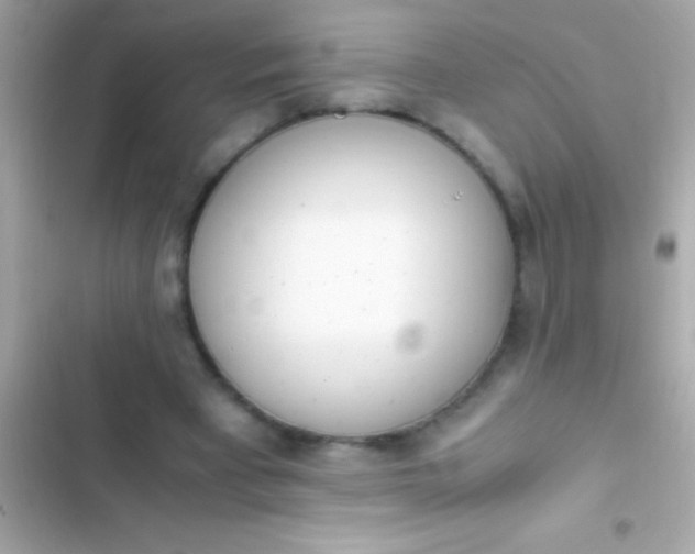 X0000103330393200809192210