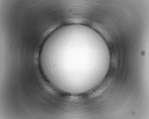 X0000103330394200809192210