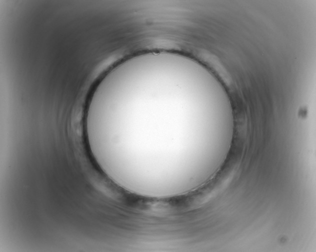 X0000103330395200809192210