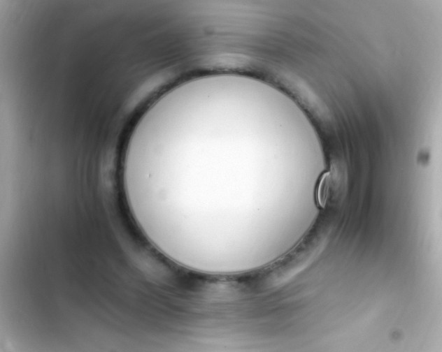 X0000103330396200809192209