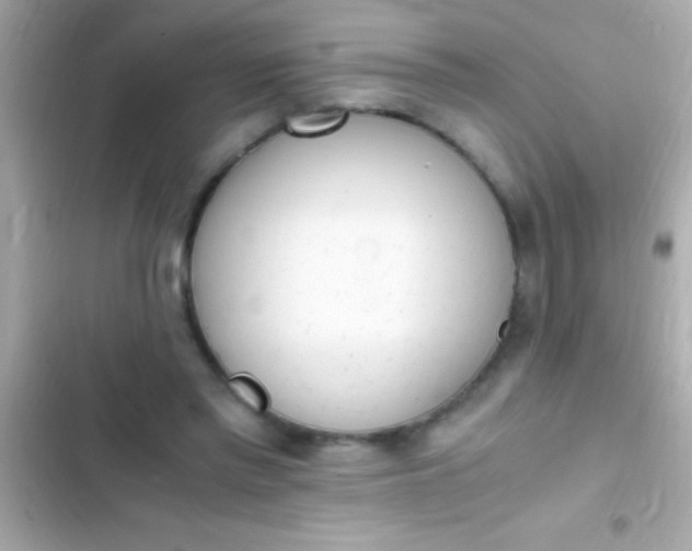 X0000103330397200809192209