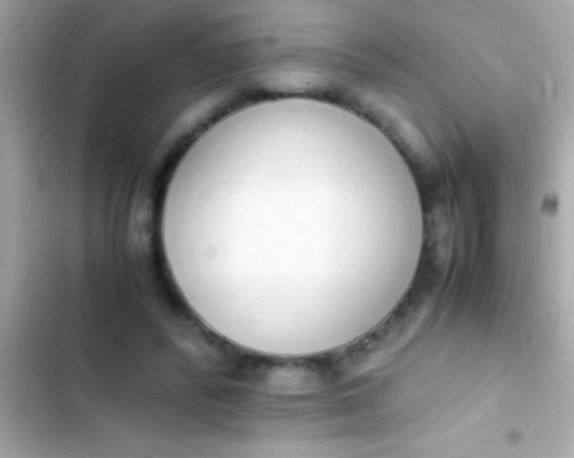 X0000103330400200809192209