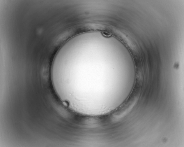 X0000103330402200809192209