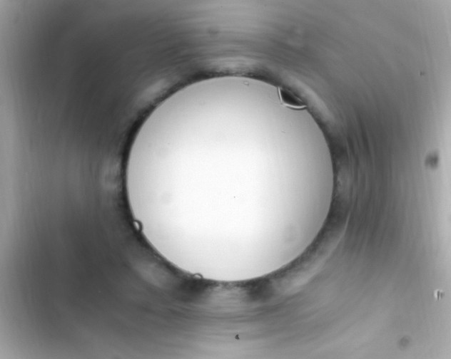 X0000103330403200809192209