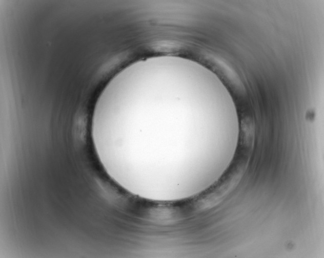 X0000103330404200809192209