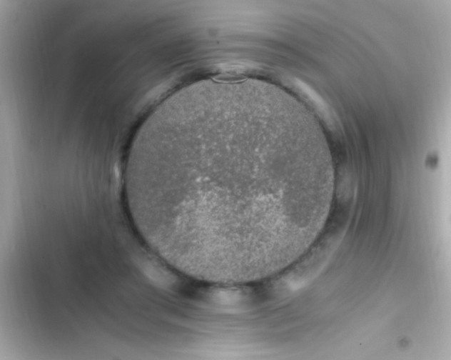 X0000103330405200809192209