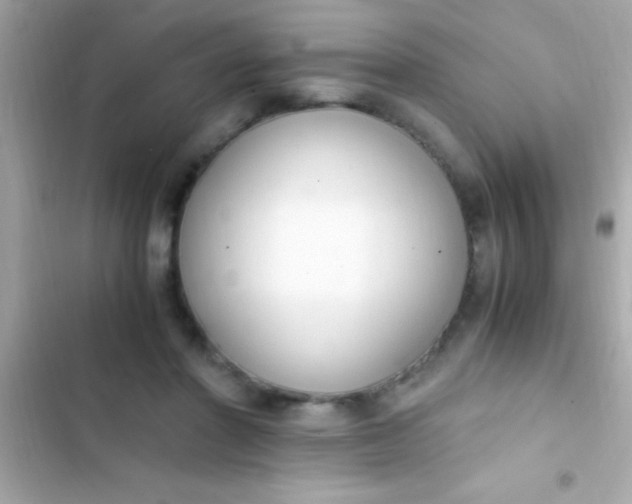 X0000103330406200809192209