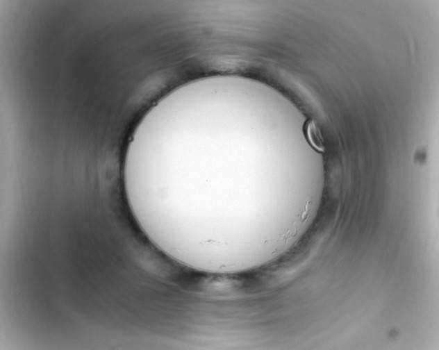 X0000103330407200809192209