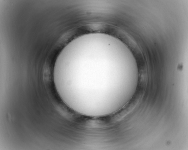 X0000103330408200809192209