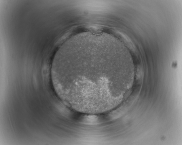 X0000103330409200809192209