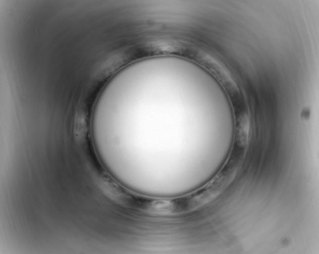 X0000103330410200809192209