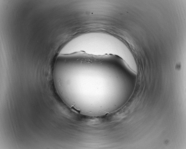 X0000103330411200809192209