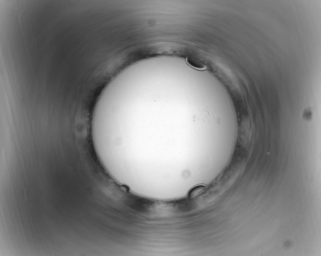 X0000103330413200809192209