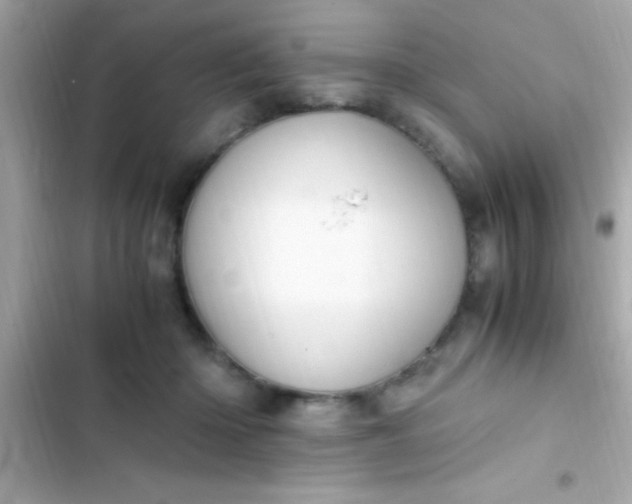 X0000103330414200809192209