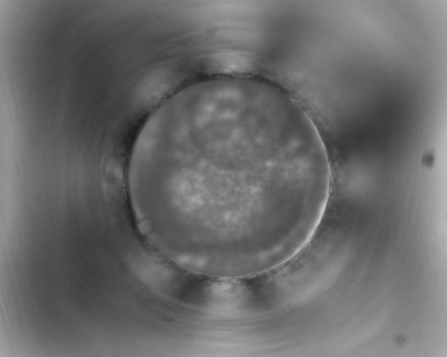 X0000103330415200809192209