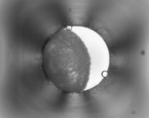 X0000103330419200809192209