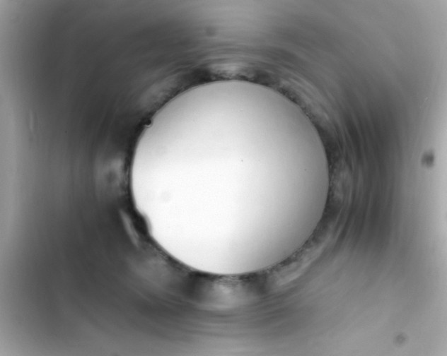 X0000103330420200809192209