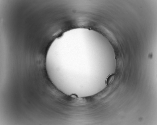 X0000103330421200809192209