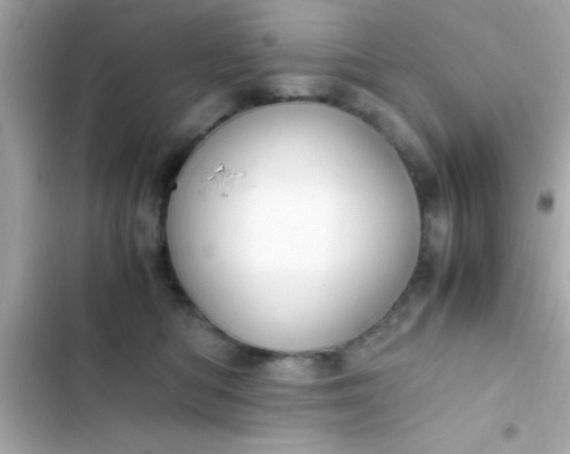 X0000103330422200809192209