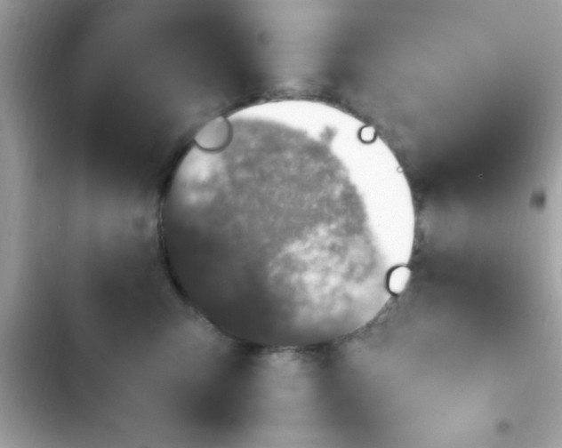 X0000103330423200809192209