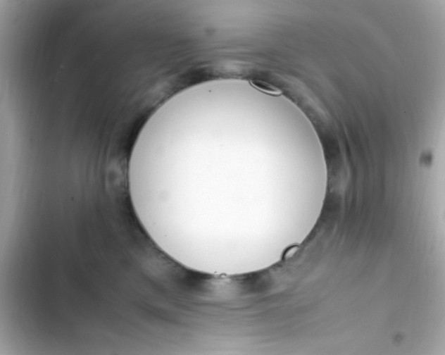 X0000103330425200809192209