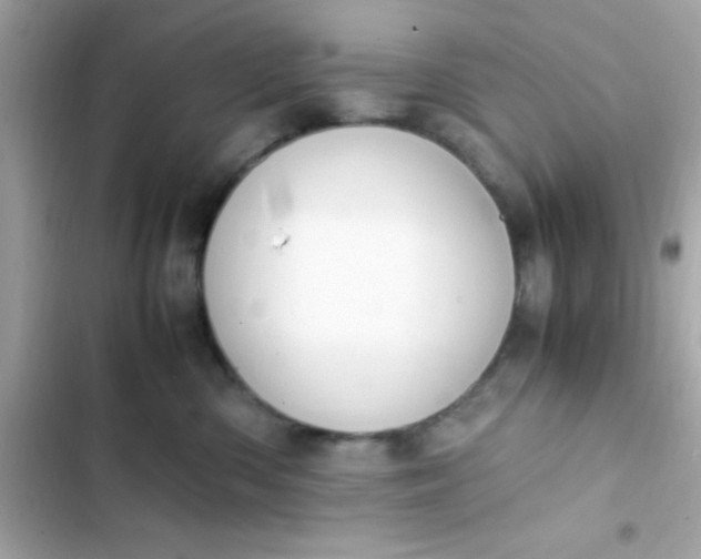 X0000103330426200809192209