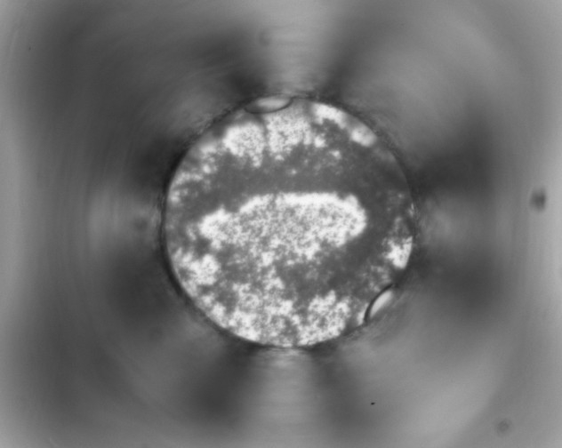 X0000103330427200809192209