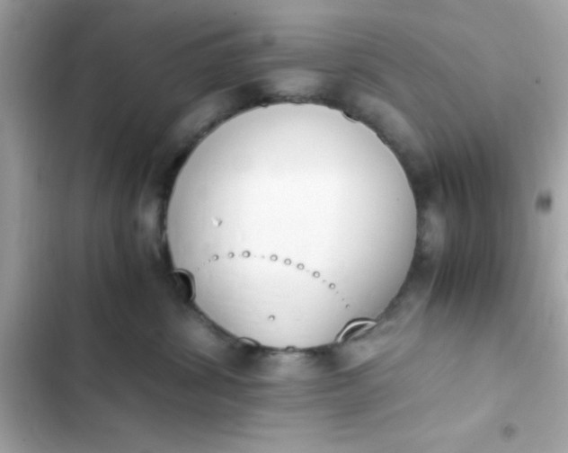 X0000103330428200809192209