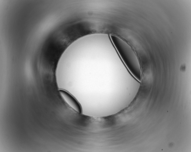 X0000103330429200809192209