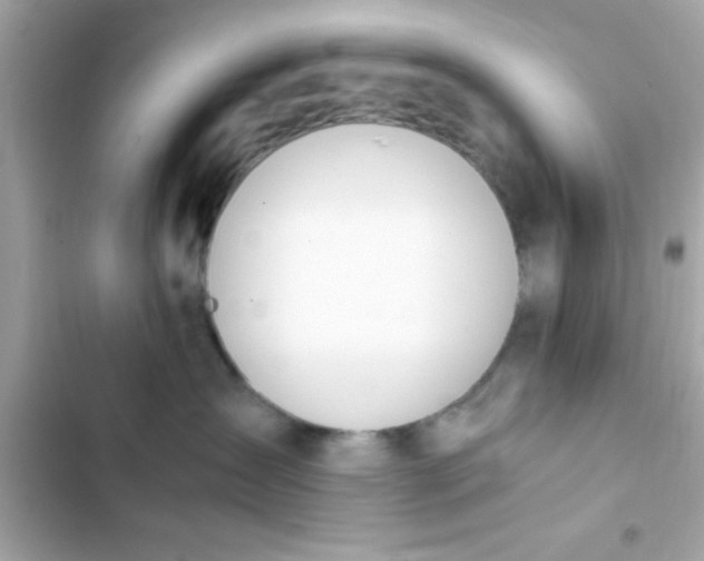 X0000103330431200809192209