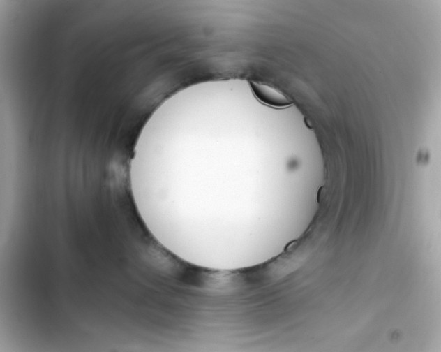 X0000103330432200809192209