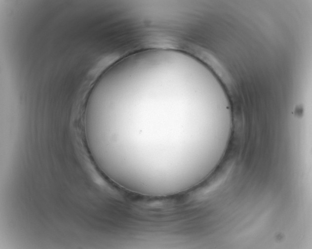 X0000103330433200809192208