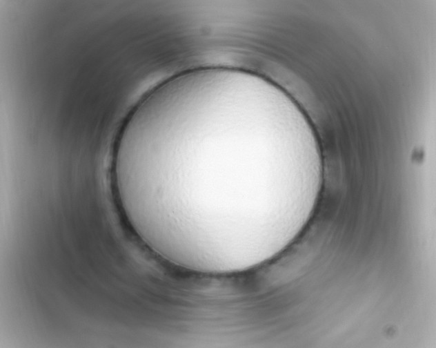 X0000103330434200809192208