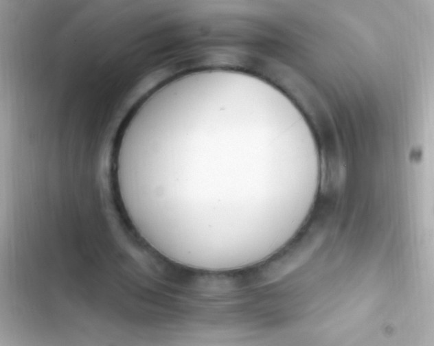 X0000103330435200809192208