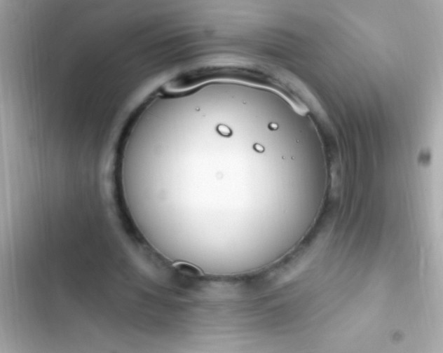 X0000103330436200809192208